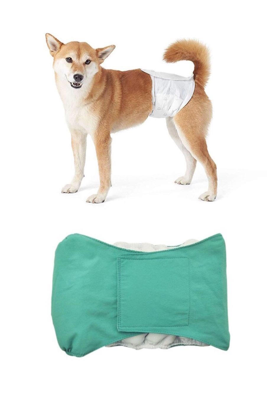 Pañal para perro talla:L $29.000